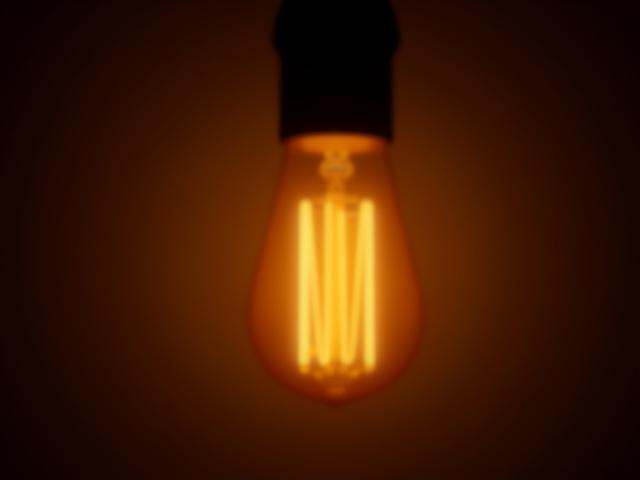 Edison style filament light bulb